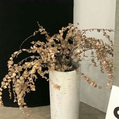 Furry绘画配色指南福瑞交流群